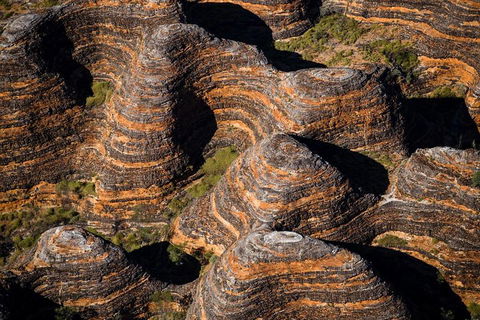 Bungle Bungle Scenic Flights, Domes & Cathedral Gorge Walk - Foster Accommodation 4