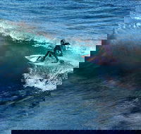 Great Ocean Road Highlights Tour - 2 Days 1 Night - Foster Accommodation