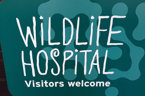 Healesville Sanctuary And Rayners Orchard Tour From Melbourne - Foster Accommodation 1