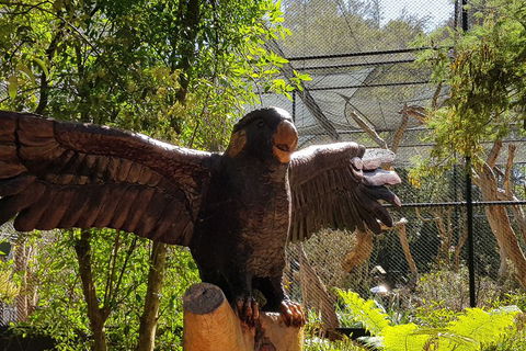 Healesville Sanctuary And Rayners Orchard Tour From Melbourne - Foster Accommodation 2