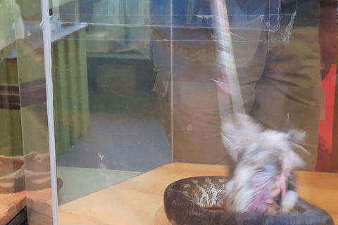 Healesville Sanctuary And Rayners Orchard Tour From Melbourne - Foster Accommodation 4