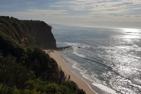 Full-Day Great Ocean Road Tour From Melbourne - Foster Accommodation 0