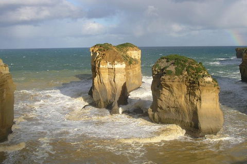 Full-Day Great Ocean Road Tour From Melbourne - Foster Accommodation 4