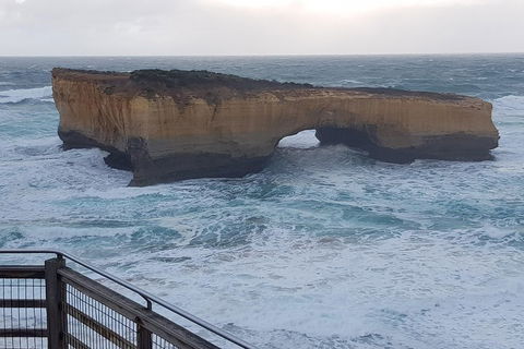 Full-Day Great Ocean Road Tour From Melbourne - Foster Accommodation 5