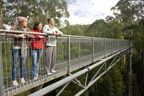 Adventure Sunset Three Day Great Ocean Road Tour - Foster Accommodation 0
