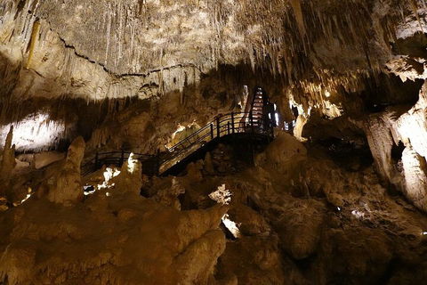 Ngilgi Cave Semi-guided Tour - Foster Accommodation 2
