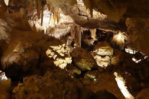 Ngilgi Cave Semi-guided Tour - Foster Accommodation 3