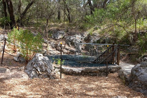 Ngilgi Cave Semi-guided Tour - Foster Accommodation 4