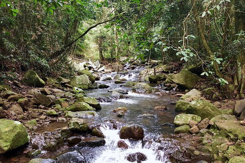 Exclusive Private Tour - Design Your Own - Foster Accommodation 1