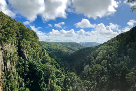 Exclusive Private Tour - Design Your Own - Foster Accommodation 3