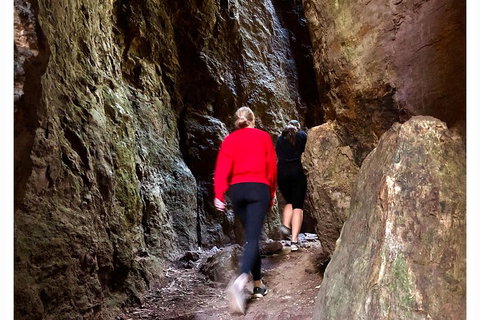 Exclusive Private Tour - Design Your Own - Foster Accommodation 4