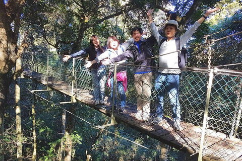 Exclusive Private Tour - Design Your Own - Foster Accommodation 5