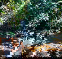 Aquaduck  Your choice of Gold Coast Rainforest Tour - Foster Accommodation