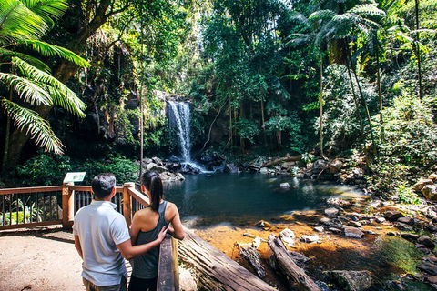 Aquaduck & Your Choice Of Gold Coast Rainforest Tour - Foster Accommodation 0