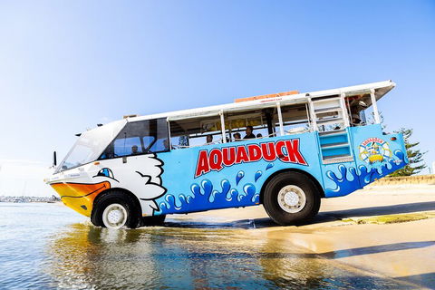 Aquaduck & Your Choice Of Gold Coast Rainforest Tour - Foster Accommodation 3