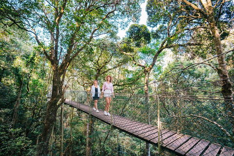 Aquaduck & Your Choice Of Gold Coast Rainforest Tour - Foster Accommodation 4