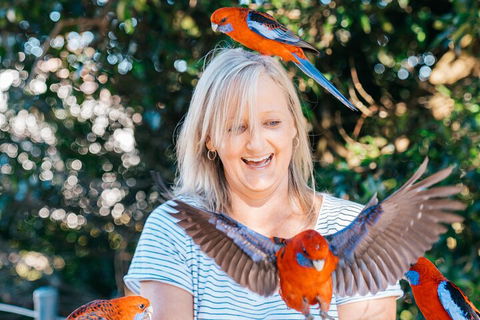 Aquaduck & Your Choice Of Gold Coast Rainforest Tour - Foster Accommodation 5