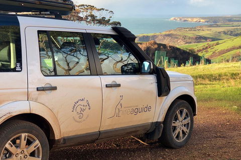 Kangaroo Island 4WD Tour - Best Of KI In 2 Days - Foster Accommodation 4