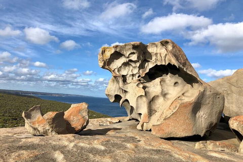 Kangaroo Island 4WD Tour - Best Of KI In 2 Days - Foster Accommodation 5