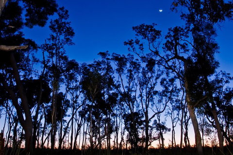 Small-Group Kangaroo Island 4WD Night Tour - Foster Accommodation 2