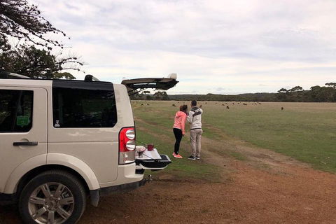 Kangaroo Island 4WD Tour - Flinders Chase - Foster Accommodation 3