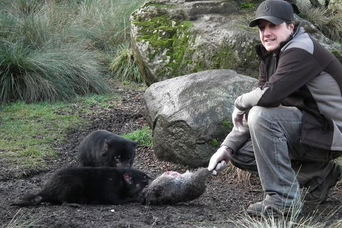After Dark Tasmanian Devil Feeding Tour At Cradle Mountain - Foster Accommodation 2