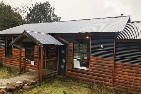 After Dark Tasmanian Devil Feeding Tour At Cradle Mountain - Foster Accommodation 3