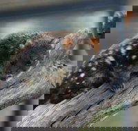 Sunset Experience - Foster Accommodation