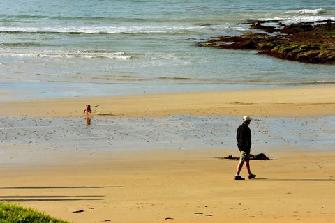 Ultimate Reverse Direction - 12 Apostles, Great Ocean Road - Small Group Tour - Foster Accommodation 1