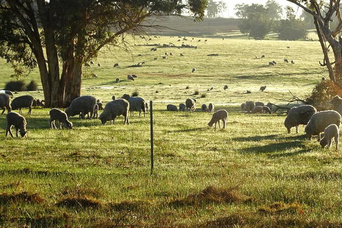 The Big Wave Rock (Private) Day Tour - Foster Accommodation 1