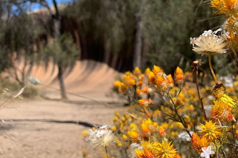 The Big Wave Rock (Private) Day Tour - Foster Accommodation 3