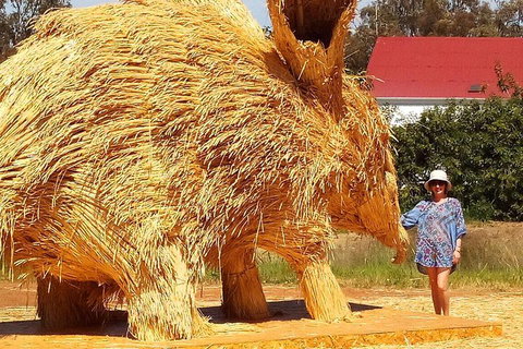 The Big Wave Rock (Private) Day Tour - Foster Accommodation 5
