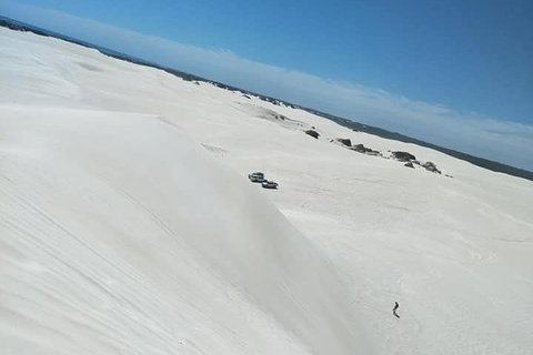 Yanchep & Lancelin - Wildlife, Cave And Sands - Foster Accommodation 3