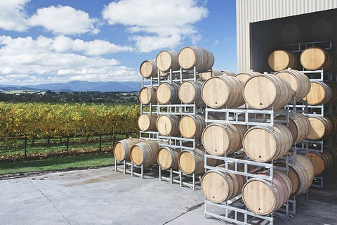 Yarra Valley Wine Tour Inc Lunch With A Glass Of Wine, Tastings And Chocolate - Foster Accommodation 4