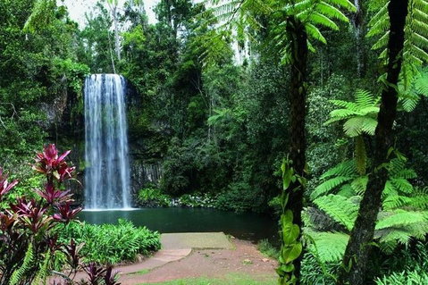 Paronella Park And Millaa Millaa Falls Full-day Tour From Cairns - Foster Accommodation 3
