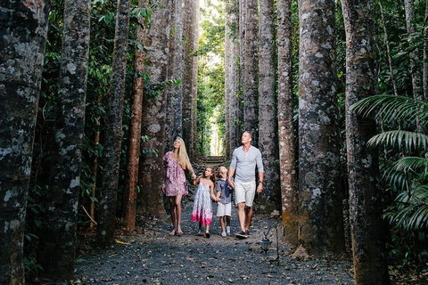 Paronella Park And Millaa Millaa Falls Full-day Tour From Cairns - Foster Accommodation 5