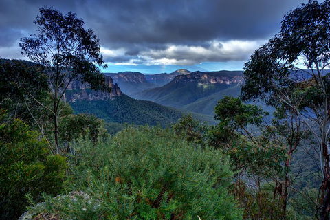 Ultimate Blue Mountains And Wildlife Tour - Foster Accommodation 1