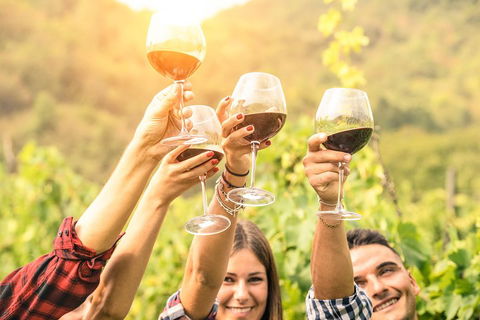 Barossa Valley Cellar Doors Luxury Wine Tour - Foster Accommodation 1