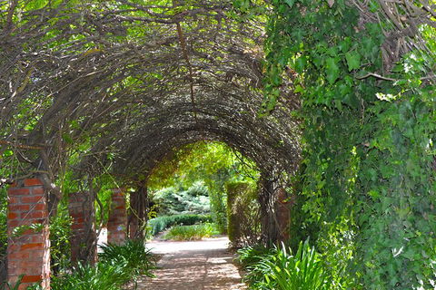 Barossa Valley Cellar Doors Luxury Wine Tour - Foster Accommodation 3