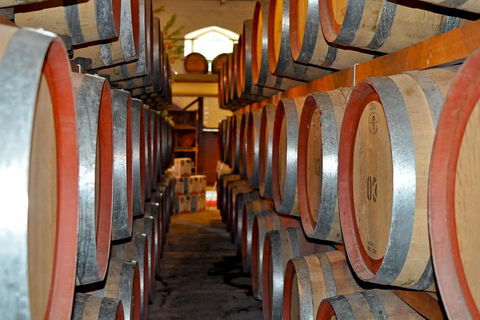 Barossa Valley Cellar Doors Luxury Wine Tour - Foster Accommodation 5