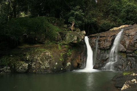 Hinterland Magic & Glow-worm Experience - Foster Accommodation 2