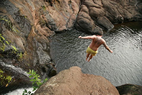 Hinterland Magic & Glow-worm Experience - Foster Accommodation 3