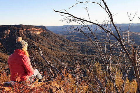 Ultimate Blue Mountains Waterfalls, Walks & Sunset PRIVATE Tour - Foster Accommodation 2