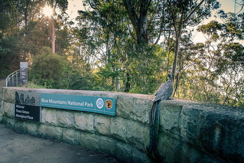 Ultimate Blue Mountains Waterfalls, Walks & Sunset PRIVATE Tour - Foster Accommodation 3