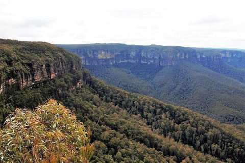 Blue Mountains - Foster Accommodation 3