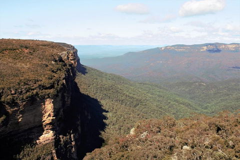 Blue Mountains - Foster Accommodation 4