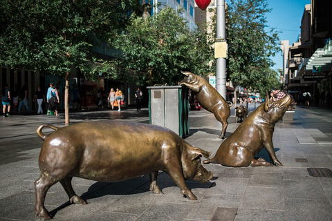Guided Walking Tour In Adelaide - Foster Accommodation 4