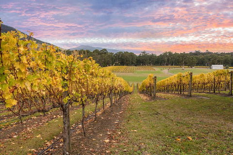 Yarra Valley Boutique Winery Tour From Melbourne - Foster Accommodation 3