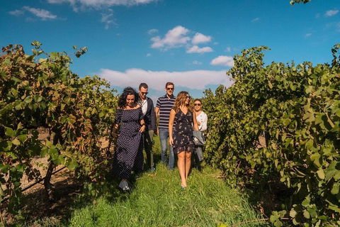 Barossa Valley Private Tour (from 2 To 11 People) - Foster Accommodation 0