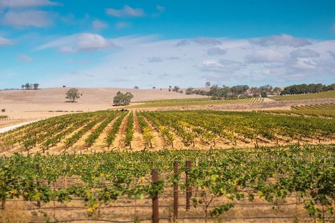 Barossa Valley Private Tour (from 2 To 11 People) - Foster Accommodation 2